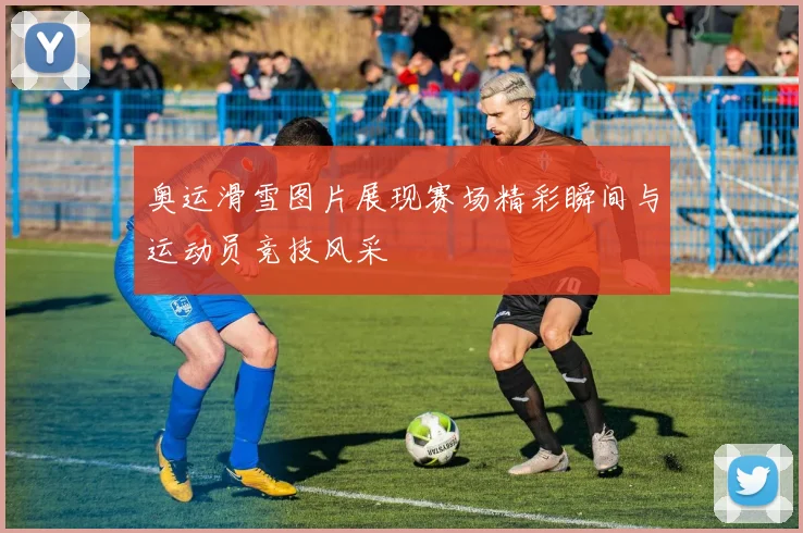 奥运滑雪图片展现赛场精彩瞬间与运动员竞技风采