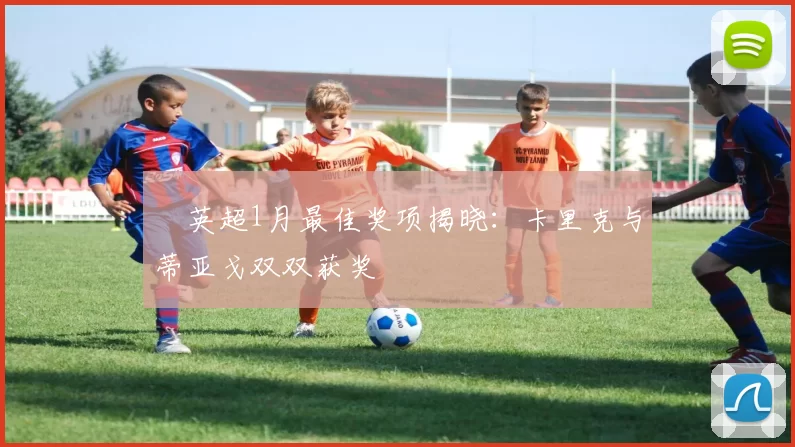 英超1月最佳奖项揭晓:卡里克与蒂亚戈双双获奖