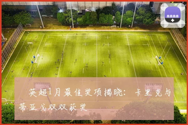 英超1月最佳奖项揭晓:卡里克与蒂亚戈双双获奖